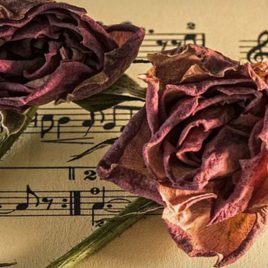 Dangers of Skyrocketing Divorce Rates Among the Elderly